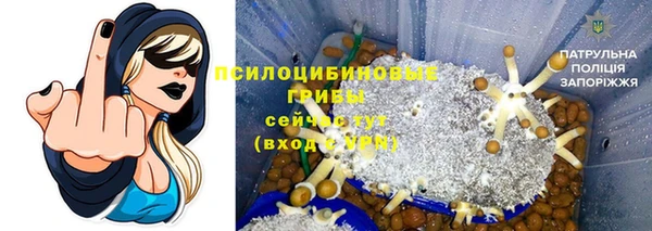 скорость Алексин